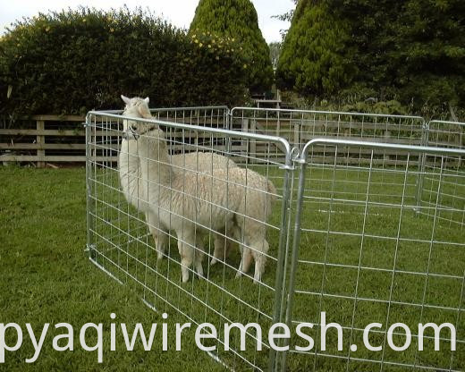 Panel de valla portátil de malla de oveja galvanizada de venta caliente/panel de corral/panel de alpaca (fábrica)